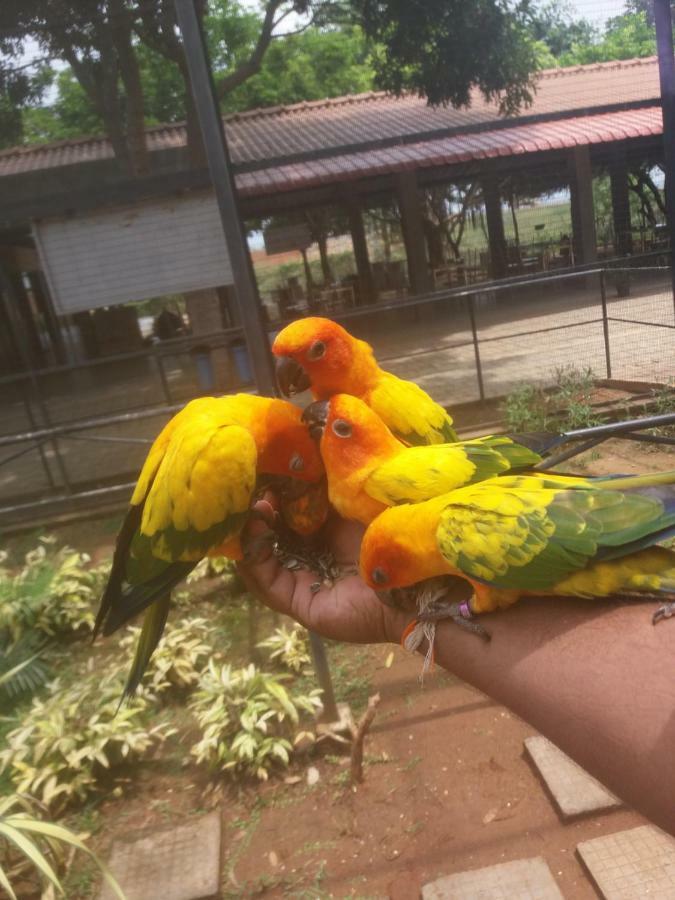 Amawin Resort ハンバントタ エクステリア 写真